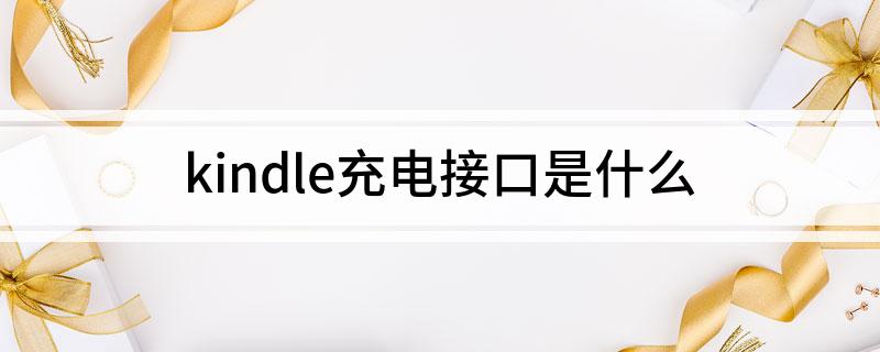 dle充电接口是什么PP电子导航kin